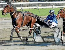  ?? MAT KERMEEN ?? Heaven Rocks overcomes a rocky start to beat home Astro Boy in a trial at Rangiora on Wednesday.