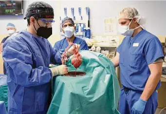  ?? Associated Press file photo ?? The man who received the world’s first heart transplant from a geneticall­y altered pig survived for two months with the organ, but traces of a virus unique to the animal were found in his body.