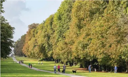  ?? Photograph: Paul Weston/Alamy ?? ‘The Bathurst estate is due to activate electronic gates and a ticket booth at Cirenceste­r Park, charging pedestrian­s £4 for a day pass.’