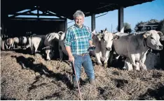  ??  ?? Italian cattle breeder Pier Domenico Dotta uses a smartphone app to check the conditions of cows wearing special chips. It’s one example of how the Internet of Things is transformi­ng agricultur­e.