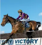  ??  ?? Sea King and Steven Pateman on their way to victory in the Australian Grand National Steeplecha­se.