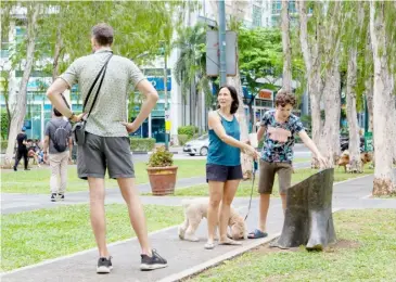  ?? PHOTOGRAPH BY DIANNE BACELONIA FOR THE DAILY TRIBUNE ?? ON a cool weekend, families can be seen strolling around Burgos Circle in BGC with their pets. This park is a relaxing green space, featuring trees and nature themed landscapes.