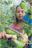  ??  ?? Lili Paulin-Kuroda, 11, checks out what’s growing at the Galiano Community Food Forest.