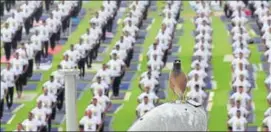 ?? HIMANSHU VYAS /HT ?? A bird looks on as people practise yoga at SMS Stadium in Jaipur on Thursday.
