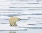  ?? J O N AT H A N H AY WA R D THE CANADIAN PRESS FILE PHOTO ?? Climate anxiety refers to the heightened distress a person feels about the impending threat of climate change. Those fears may be rooted in a direct experience with extreme weather or exposure to climate change messages.