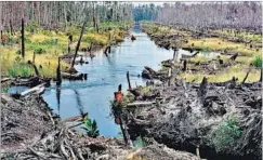  ?? AFP ?? Destroyed forests in Indonesia: Chopped trees add to the GDP but the negative effect of pollution doesn’t pull GDP down. Clearly, the world needs a different approach