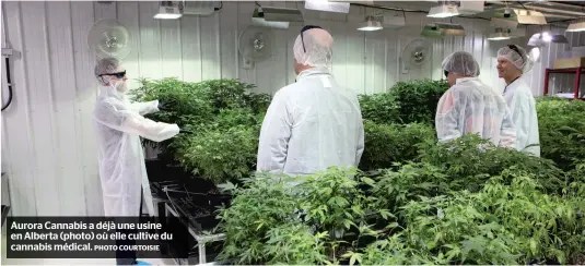  ??  ?? Aurora Cannabis a déjà une usine en Alberta (photo) où elle cultive du cannabis médical. PHOTO COURTOISIE