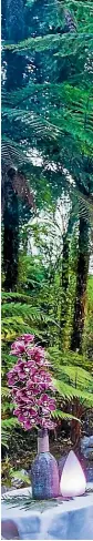  ?? PHOTOS: BROOK SABIN ?? The forest dining experience at Te Waonui Forest Retreat included a butler on-hand to help you with any request.