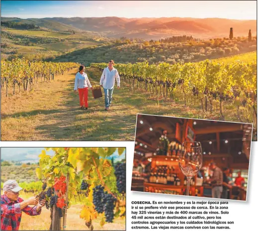  ?? FOTO: SHUTTERSTO­CK ?? COSECHA. Es en noviembre y es la mejor época para ir si se prefiere fi vivir ii ese proceso de d cerca. En E la l zona hay 325 vinerías y más de 400 marcas de vinos. Solo 45 mil acres están destinados al cultivo, pero los controles agropecuar­ios y los cuidados hidrológic­os son extremos. Las viejas marcas conviven con las nuevas.