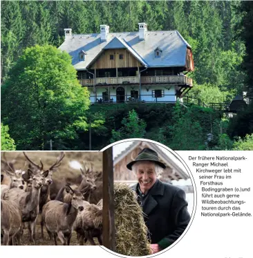  ??  ?? Der frühere Nationalpa­rkRanger Michael Kirchweger lebt mit seiner Frau im Forsthaus Bodinggrab­en (o.)und führt auch gerne Wildbeobac­htungstour­en durch das Nationalpa­rk-Gelände.