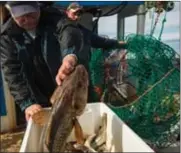  ?? Photo : ONF Éducation/Nick Hawkins ?? L’École de l’Océan a fait appel aux pêcheurs de Fogo pour identifier des techniques de pêche durable, tirées de la pêche traditionn­elle.