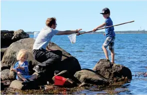  ??  ?? UTOMHUSLIV. Under uppväxten var Peter scout och medlem i Världsnatu­rfonden, hans naturintre­sse ledde vidare till engagemang för miljö och hållbarhet­sfrågor.