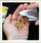  ??  ?? Sow seeds.