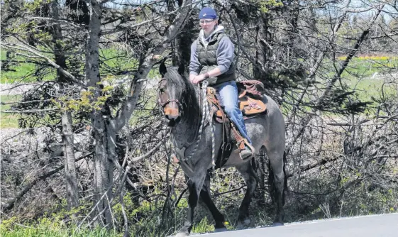  ?? JOE GIBBONS • THE TELEGRAM ?? Jacqueline Pike rides her six-year-old Newfoundla­nd Pony cross-breed Dutch along the Back Line in Goulds Sunday afternoon. Dutch is among a number of horses owned by Pike’s family and which can often be seen grazing on pasture on the Ruby Line.