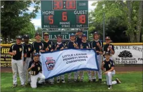  ?? SUBMITTED PHOTO ?? The Upper Providence 12U baseball team won the Pa. Little League championsh­ip on July 29in Fleetville, Pa.