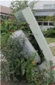  ?? JACK LAKEY ?? A damaged communicat­ions equipment box on Warden Ave. has been swallowed by an infestatio­n of nightshade, a poisonous weed.