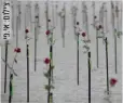  ??  ?? מיצג ורדים לזכר המתים בברזיל