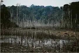  ?? Carl de Souza - 24.ago.2019/AFP ?? Desmatamen­to em Porto Velho (RO)