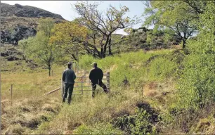  ??  ?? Airor Common Grazings Native Woodland, Knoydart, won the large community woodland award and the Tim Stead trophy after being named the overall category winner.