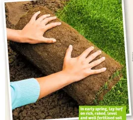  ??  ?? In early spring, lay turf on rich, raked, level and well fertilised soil