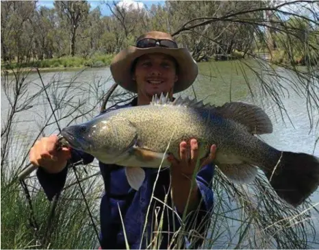  ?? PHOTO: CONTRIBUTE­D ?? ONE OF MANY: Jedd Edwards with one of many nice cod caught this week in the Condamine River.