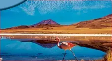  ??  ?? The Atacama Desert in Chile is the driest place on earth