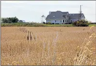  ?? Chicago Tribune/ERIN HOOLEY ?? A house, shown in October, sits in a field in Mount Pleasant, Wis., where Foxconn’s 20 million-square-foot manufactur­ing plant will be built.
