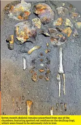  ??  ?? Seven-month skeletal remains unearthed from one of the chambers, featuring spotted red residues on the skullcap (top), which were found to be extremely rich in iron