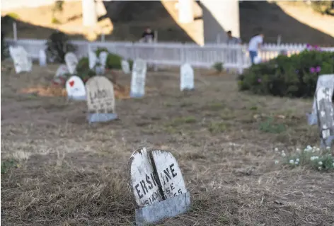  ?? Photos by Paul Kuroda / Special to The Chronicle ?? A marker at the historic Presidio Pet Cemetery, weathered and split down the middle, denotes the grave of Erskine the Siamese cat.