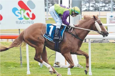  ??  ?? LOADS OF POTENTIAL: Gee Gee Secondover, ridden by Craig Newitt, scores an easy win at Elwick.