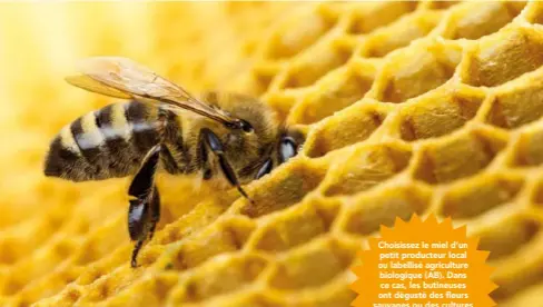  ??  ?? Choisissez le miel d’un petit producteur local ou labellisé agricultur­e biologique (AB). Dans ce cas, les butineuses ont dégusté des fleurs sauvages ou des cultures bio et n’ont pas été soignées avec des antibiotiq­ues.