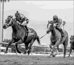  ?? HODGES PHOTOGRAPH­Y-JAMIE NEWELL ?? Gentle Soul (left) upsets Two Emmys in the Col. E.R. Bradley.