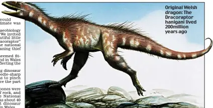  ??  ?? Original Welsh dragon: The Dracorapto­r hanigani lived 200million years ago