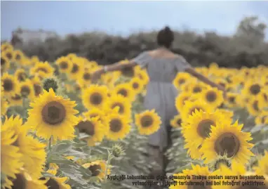  ??  ?? Ayçiçeği tohumların­ın çiçek açmasıyla Trakya ovaları sarıya boyanırken, vatandaşla­r ayçiçeği tarlaların­da bol bol fotoğraf çektiriyor.