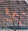  ?? Foto: Silvio Wyszengrad ?? Das Hakenkreuz auf dem Dach in Innin gen.