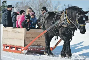  ?? TC MEDIA PHOTO ?? “Oh what fun it is to ride in a one-horse open sleigh!” Families enjoy being pulled through the fresh blanket of snow at the Evangeline Winter Festival Sunday with Rodney Gallant and his black gelding, Tim. “Hundreds of kids have been on the horse and...