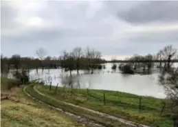  ?? FOTO BELGA ?? In de meeste meetpunten in Vlaanderen stijgt de stand van het grondwater, maar in Limburg houdt de droogte langer aan.