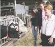  ?? THE CANADIAN PRESS ?? Agricultur­e Minister Marie-claude Bibeau visits a dairy farm in Compton, Que.