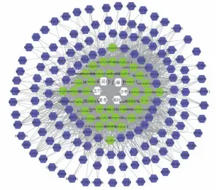  ??  ?? 图 1沙参麦冬汤-有效成分-靶点网络