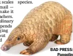  ??  ?? BAD PRESS: Pangolin