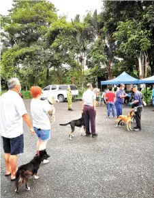  ??  ?? Dog owners patiently queue up with social distancing in place to have their dogs vaccinated.