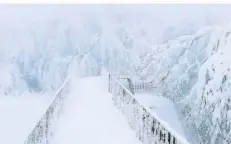  ?? FOTO: KONRAD FUNK ?? Land unter war in diesem Winter an manchen Tagen auch auf dem Erbeskopf, der mitten im Park liegt.