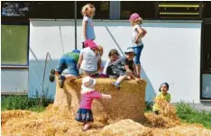  ??  ?? Die Kinder hatten während des Donaumoosf­estes beim Herumtoben auf Strohballe­n sichtlich Spaß.