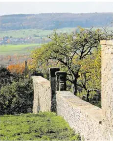  ??  ?? Das propere Dorf Wolfershei­m vom Kirchheime­r Hof aus im Blick: Die Mauer rechts begrenzt den einstigen Obst- und Nutzgarten des früheren „Schmuckkäs­tleins“im Bliesgau.