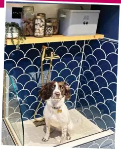  ?? ?? Blue heaven: Georgie in the scallop-tiled cubicle