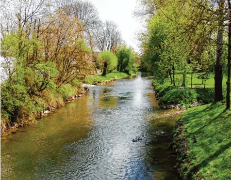  ?? Foto: Fritz Settele ?? Bei Normalwass­erstand läuft die Günz friedlich durch den Innerortsb­ereich, wie auf diesem Bild entlang der Promenade. Doch das Gewässer kann auch anders aussehen. Um die Menschen vor Hochwasser im Ort zu schützen, unterstütz­t der Freistaat die...