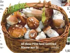  ??  ?? All diese Pilze fand Gottfried Maurer aus Ilz LR MAURER