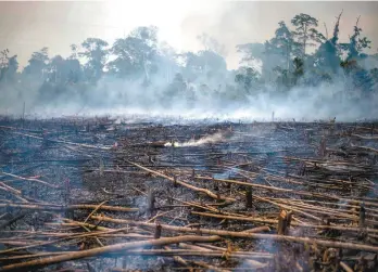  ?? ERNESTO BENAVIDES AGENCE FRANCE-PRESSE ?? La déforestat­ion, tout comme la destructio­n des milieux naturels, la surpêche et l’extinction d’espèces sont mentionnée­s dans le rapport pour illustrer que « nous vivons à la fois à la meilleure et à la pire période ».