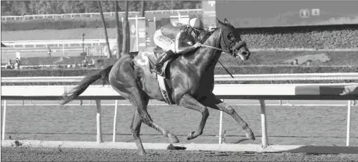  ?? SHIGEKI KIKKAWA ?? McKinzie, named in honor of the late Los Alamitos executive Brad McKinzie, wins a maiden race at Santa Anita by 5 1/2 lengths.