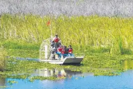  ?? SUN SENTINEL FILE ?? Airboat ride in the Everglades at the Loxahatche­e National Wildlife Refuge.